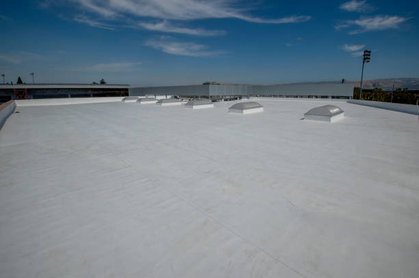 Best Cold Roofs  in Oswego, IL