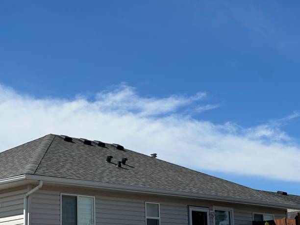  Oswego, IL Roofing Pros